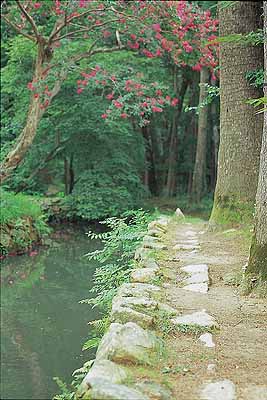 삼인당 배롱나무꽃이 붉다 